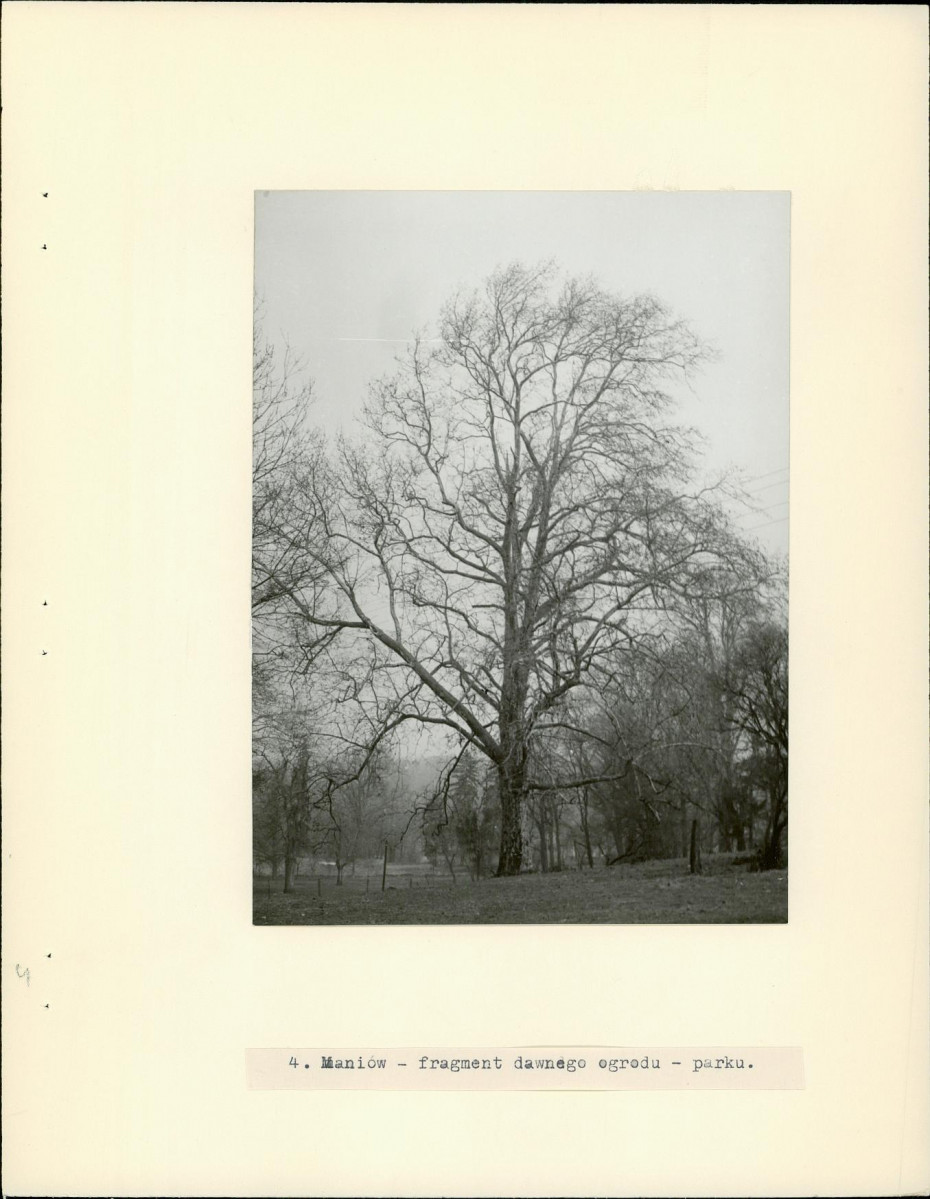 Ewidencja parkowa, skan nr 13