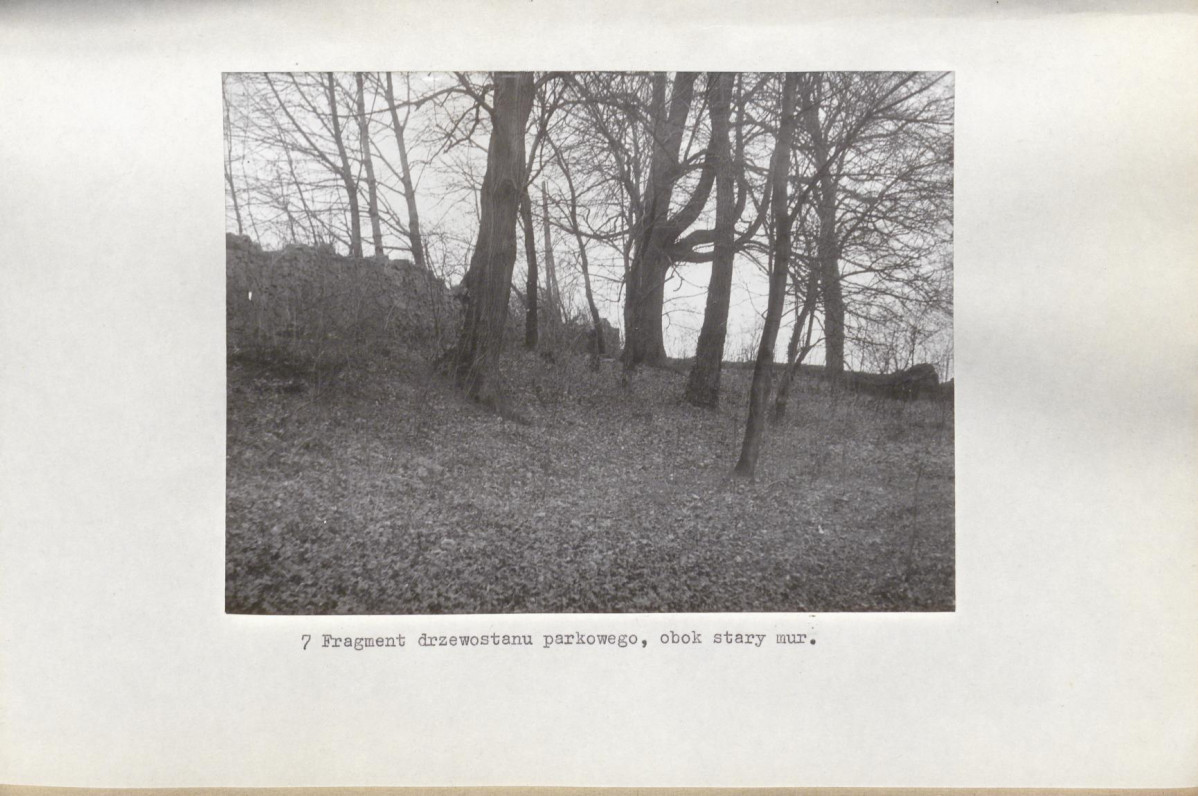 Ewidencja parkowa, skan nr 23