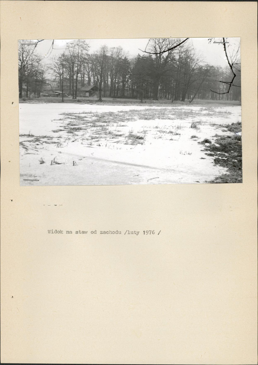 Ewidencja parkowa, skan nr 21