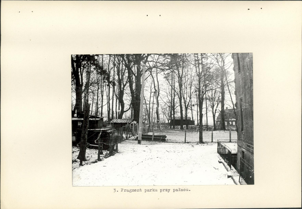 Ewidencja parkowa, skan nr 17