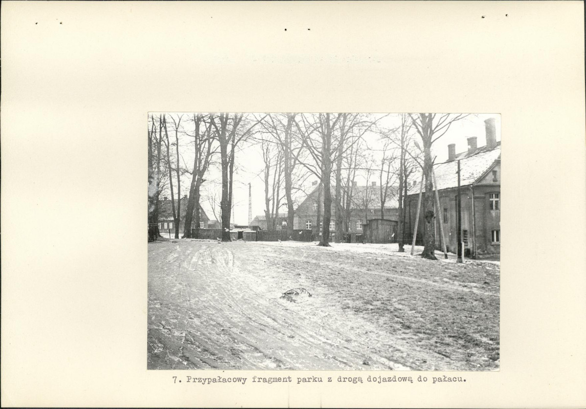 Ewidencja parkowa, skan nr 21