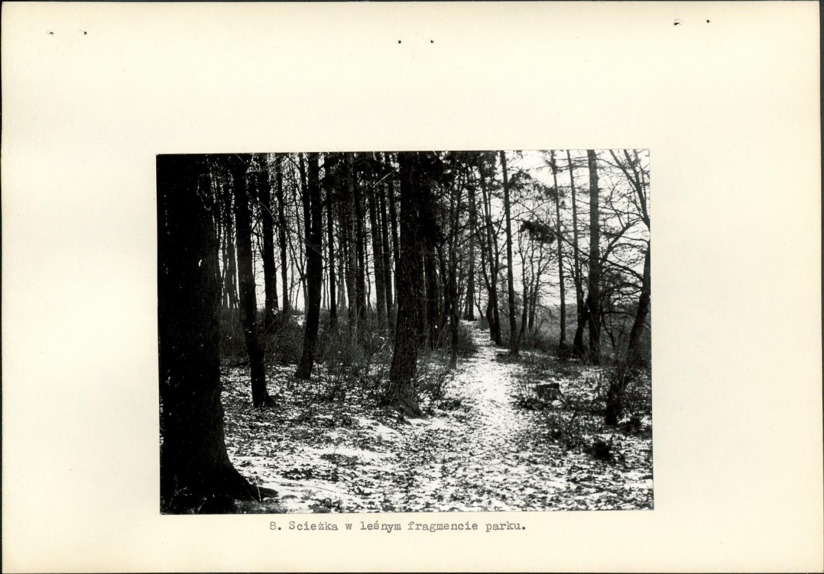 Ewidencja parkowa, skan nr 22