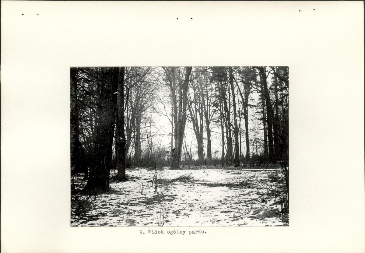 Ewidencja parkowa, skan nr 23