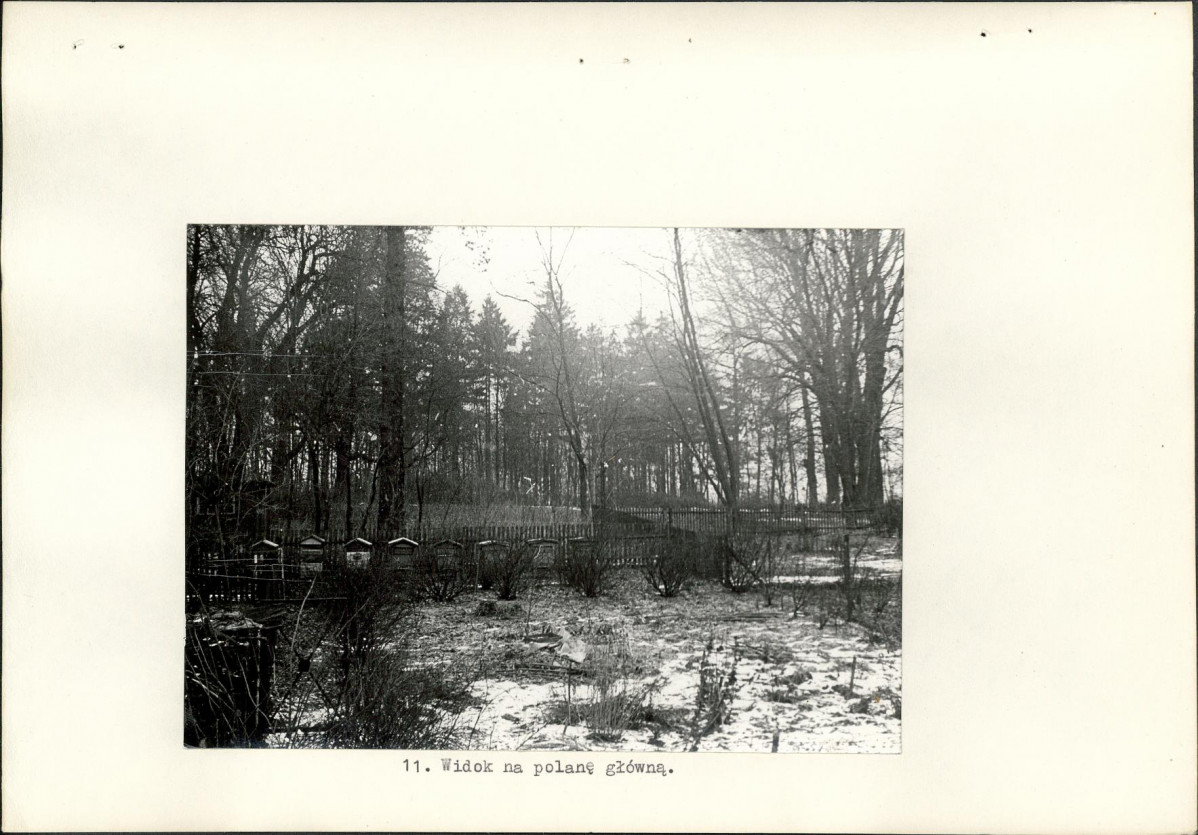 Ewidencja parkowa, skan nr 25