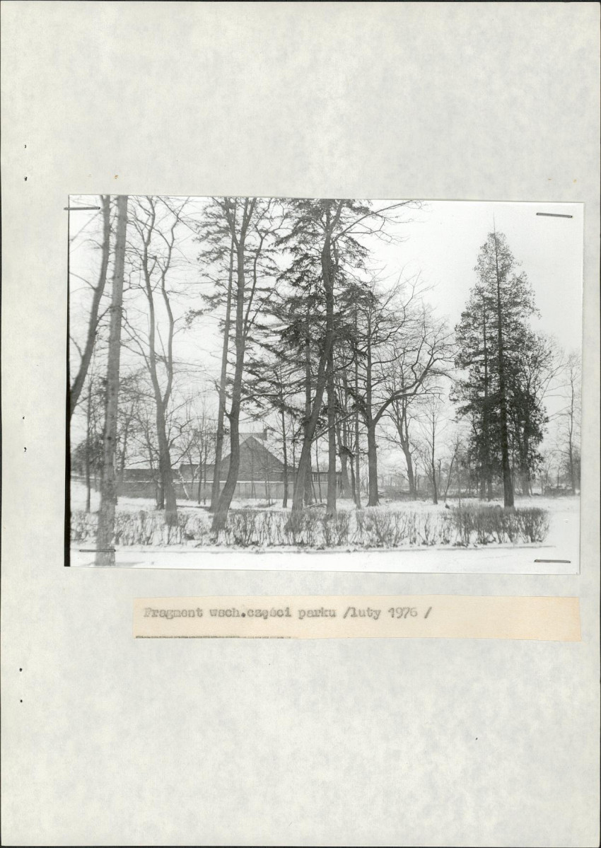 Ewidencja parkowa, skan nr 20