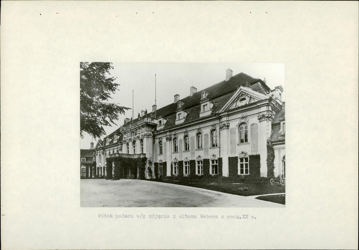 Ewidencja parkowa, skan nr 12