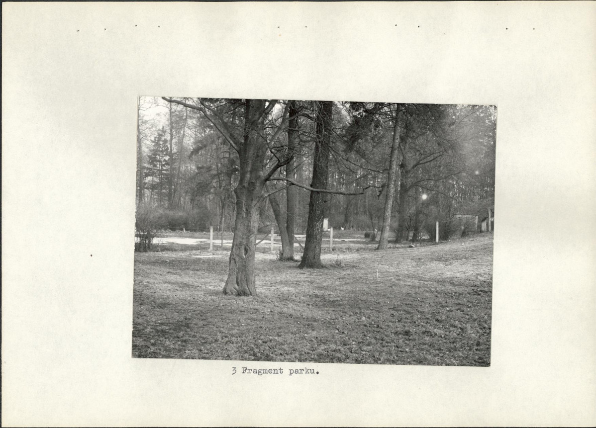 Ewidencja parkowa, skan nr 17
