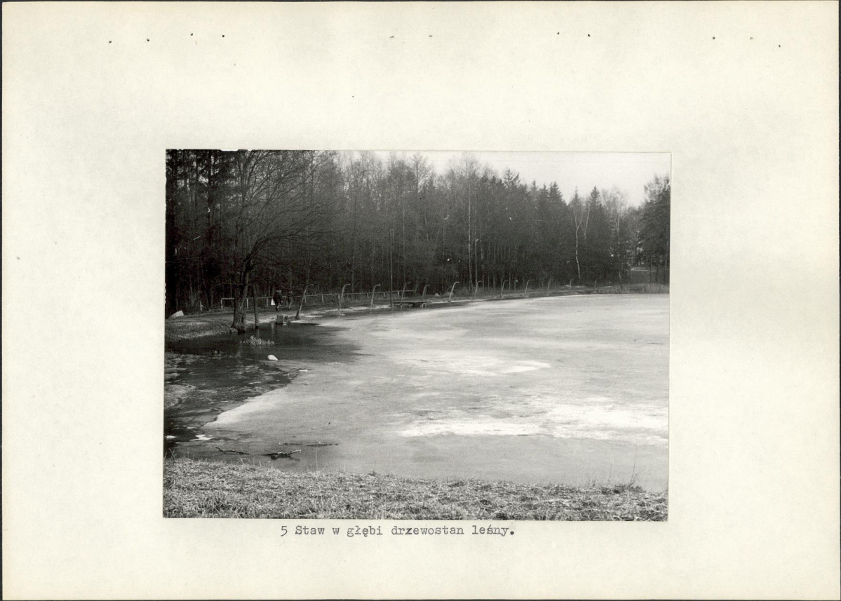 Ewidencja parkowa, skan nr 19