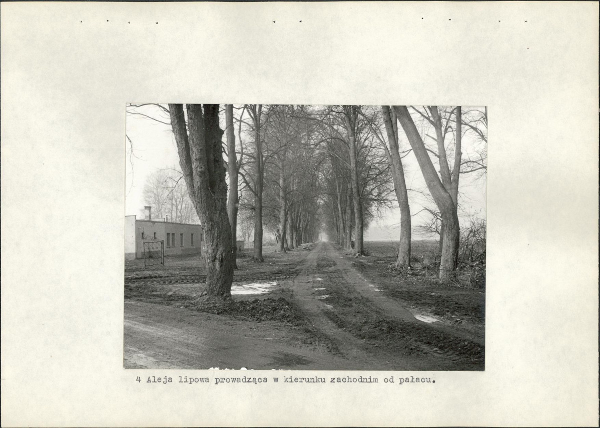 Ewidencja parkowa, skan nr 29