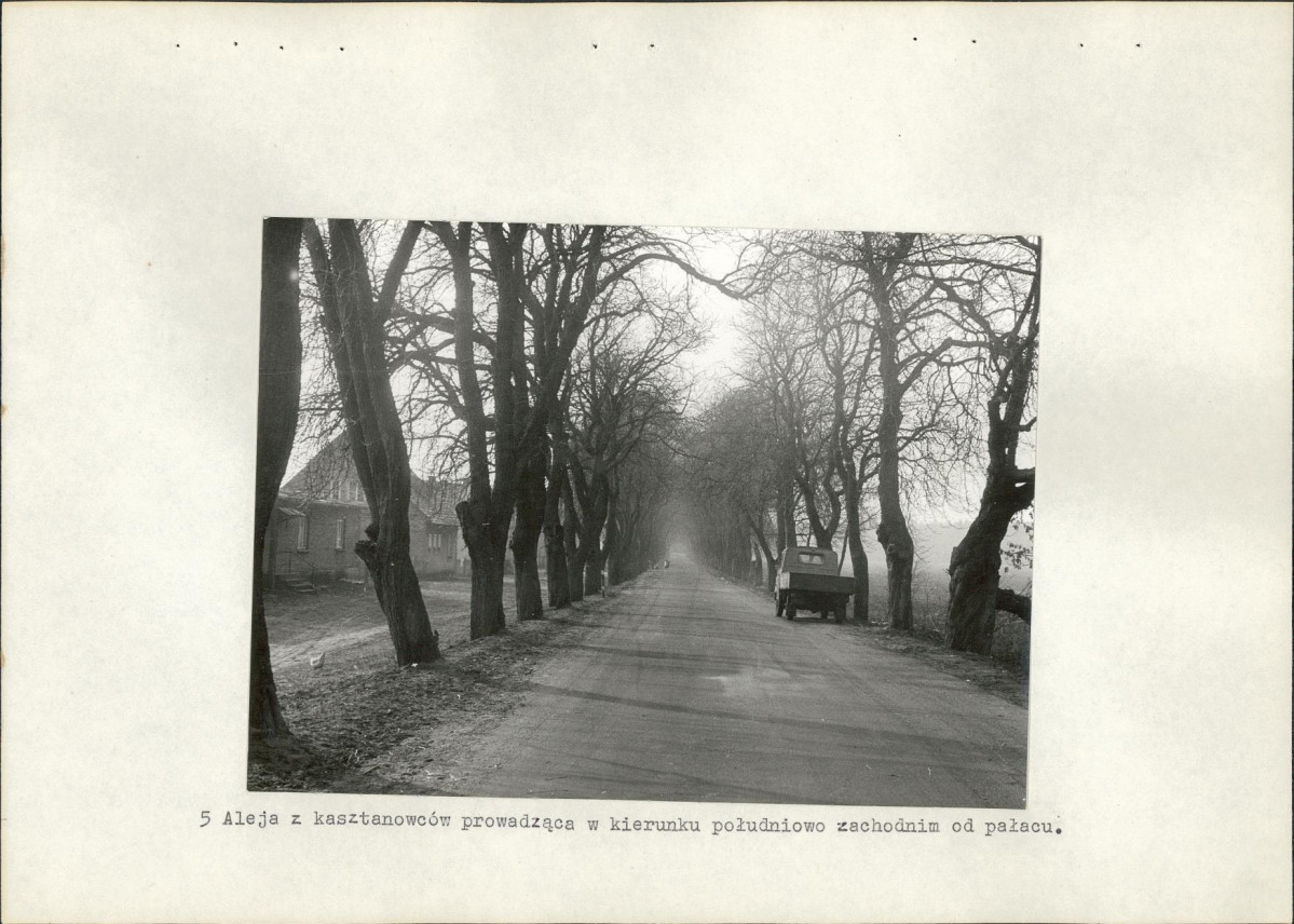 Ewidencja parkowa, skan nr 30