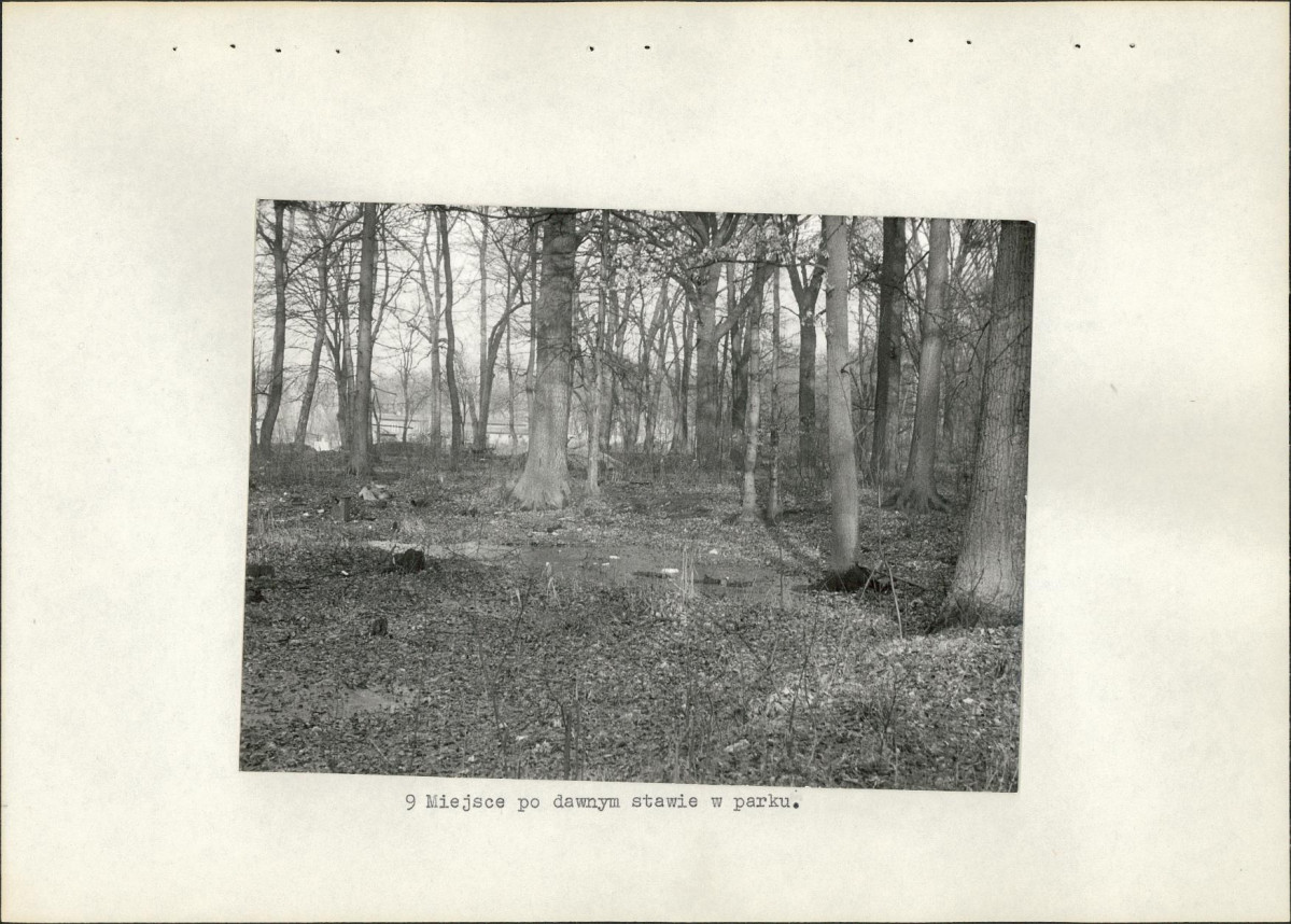 Ewidencja parkowa, skan nr 34