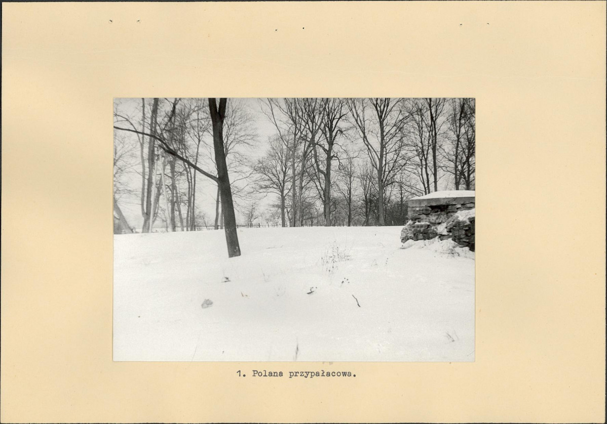 Ewidencja parkowa, skan nr 16