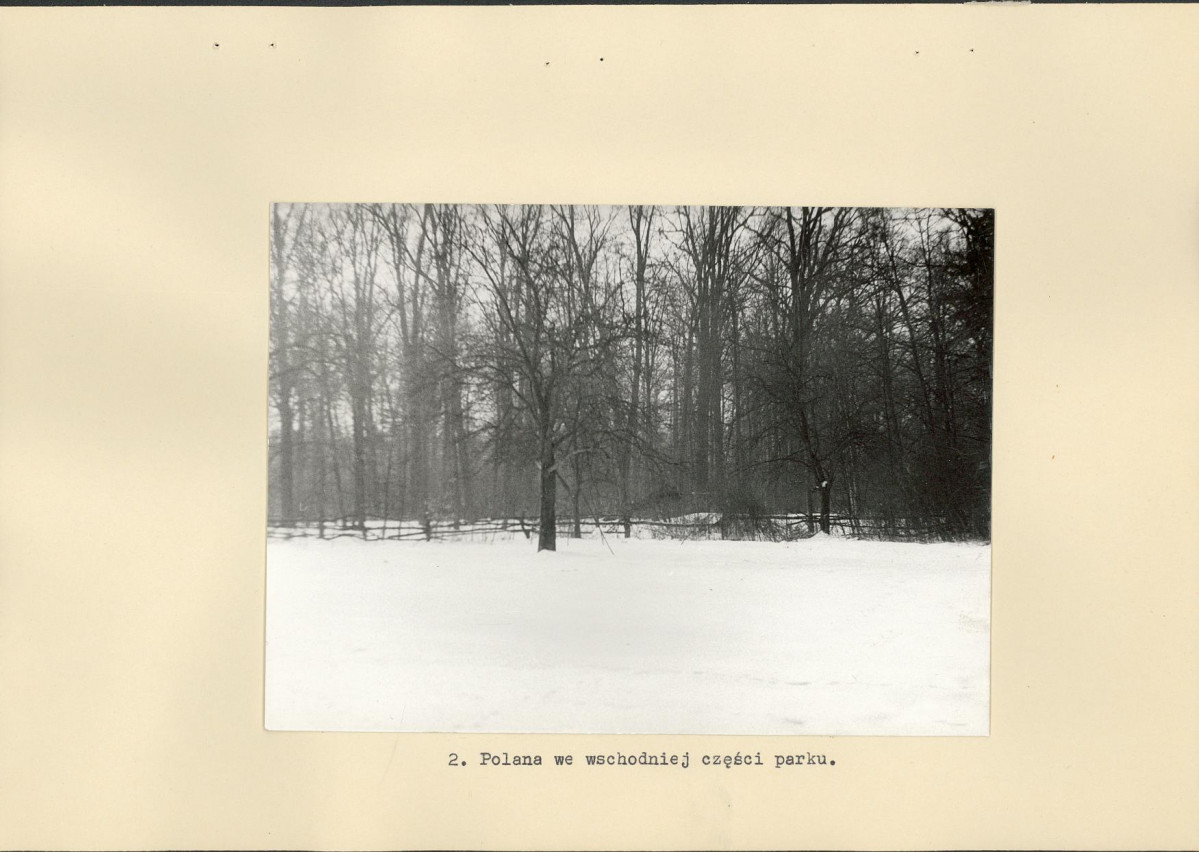Ewidencja parkowa, skan nr 17