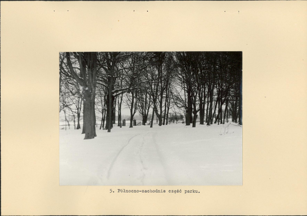 Ewidencja parkowa, skan nr 22