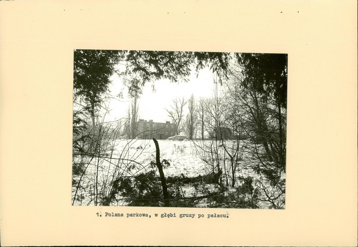 Ewidencja parkowa, skan nr 13