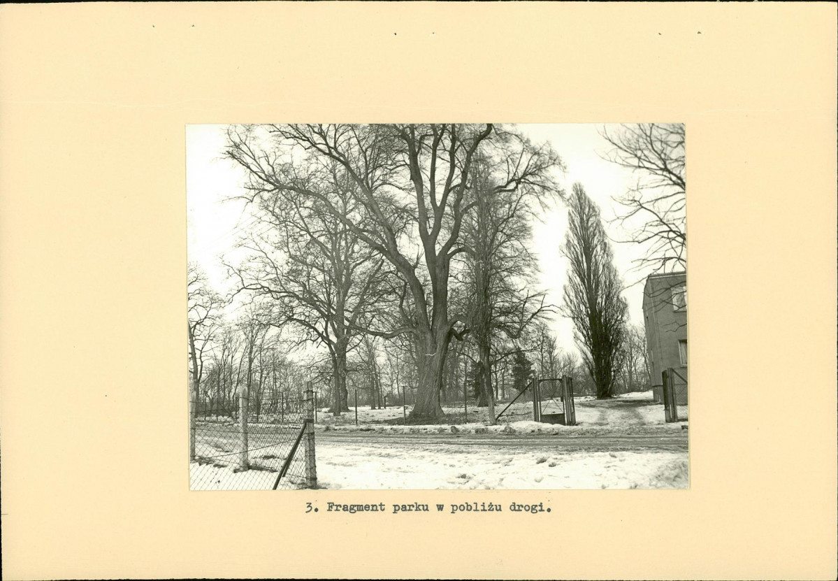 Ewidencja parkowa, skan nr 15