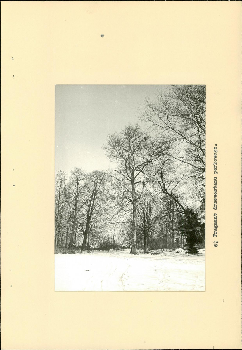 Ewidencja parkowa, skan nr 18