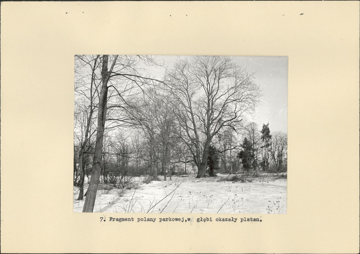 Ewidencja parkowa, skan nr 19