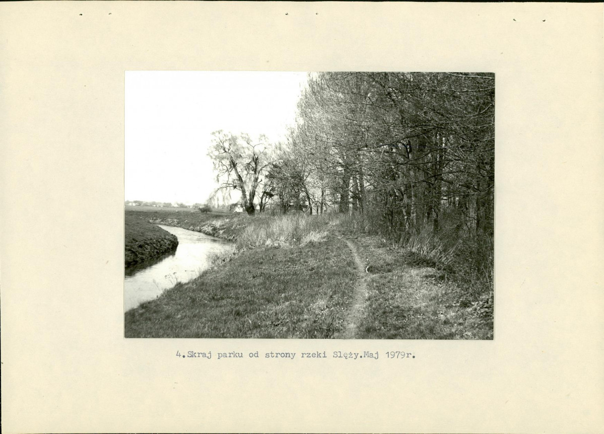 Ewidencja parkowa, skan nr 20