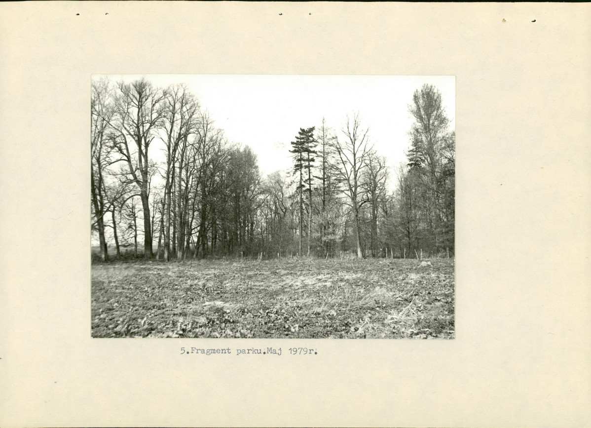 Ewidencja parkowa, skan nr 21