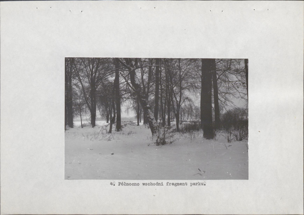 Ewidencja parkowa, skan nr 16