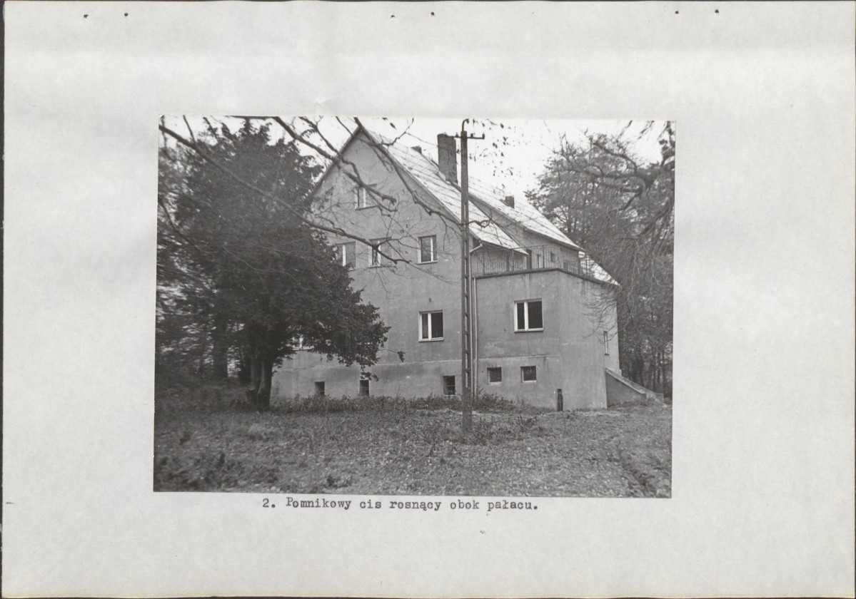 Ewidencja parkowa, skan nr 15