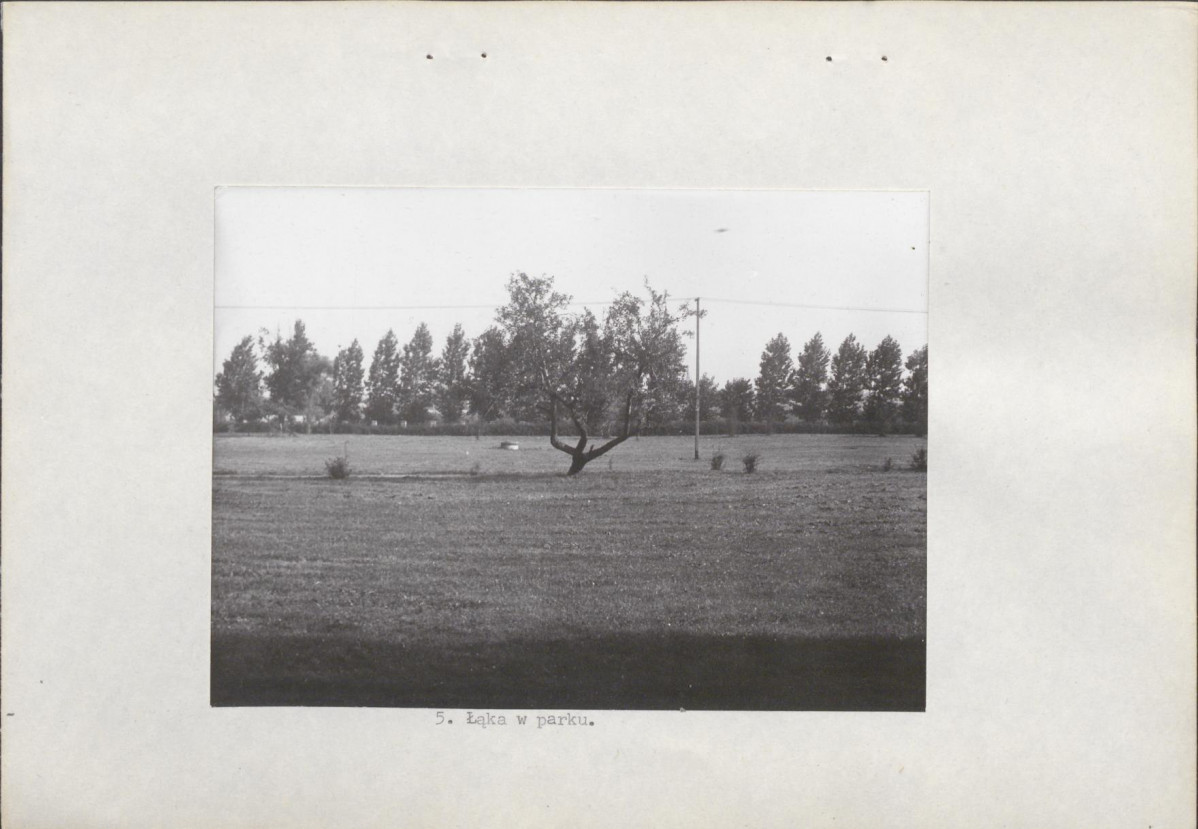 Ewidencja parkowa, skan nr 17