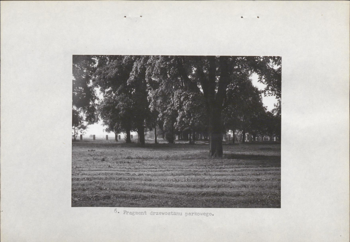 Ewidencja parkowa, skan nr 18