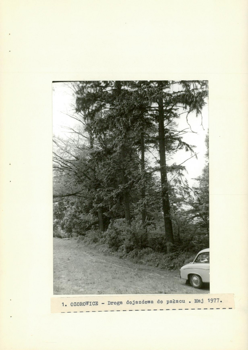Ewidencja parkowa, skan nr 22