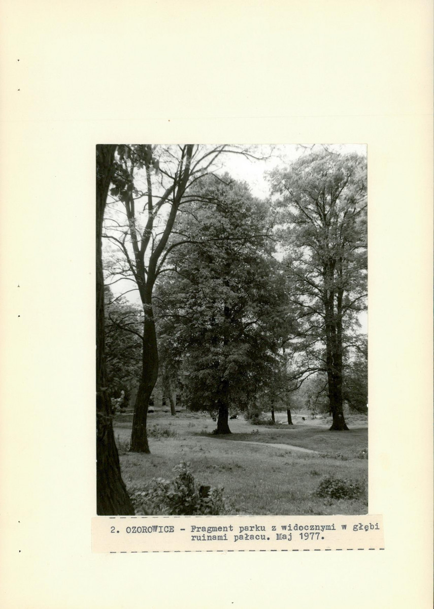 Ewidencja parkowa, skan nr 23