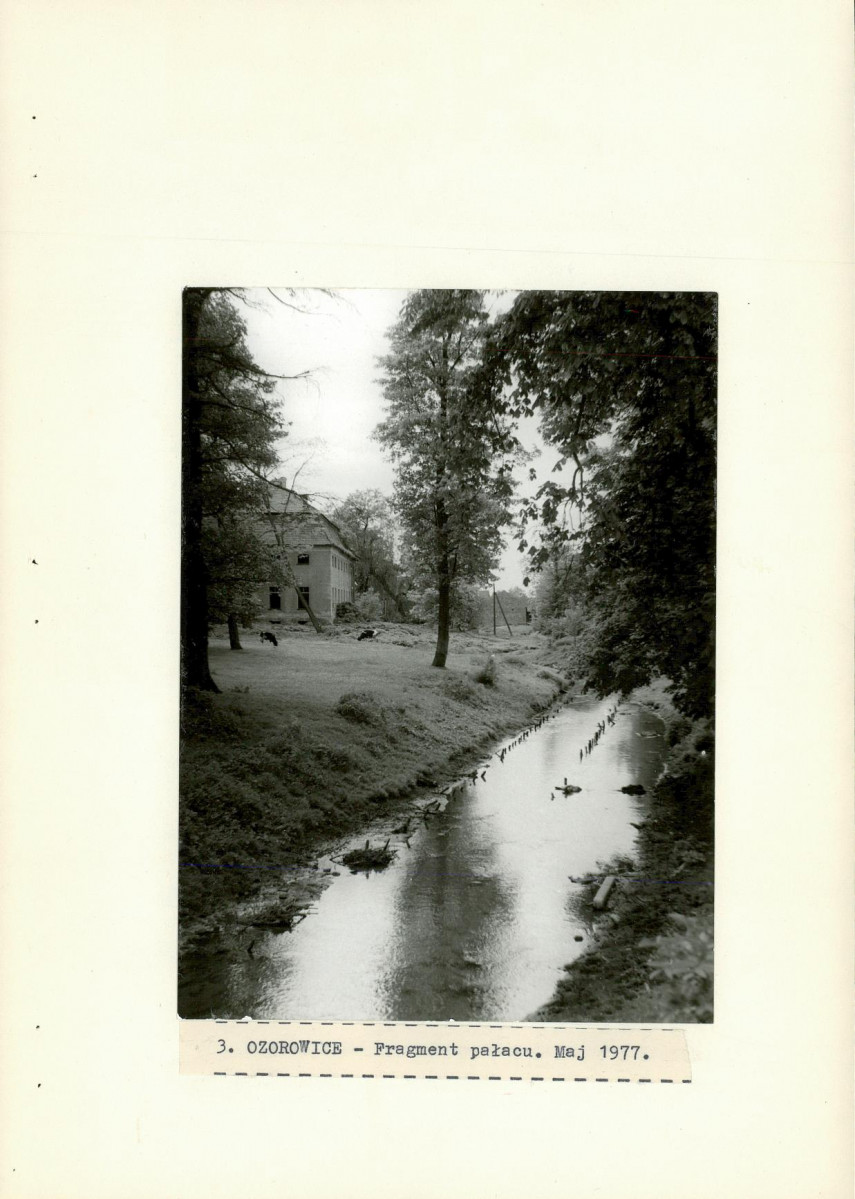 Ewidencja parkowa, skan nr 24