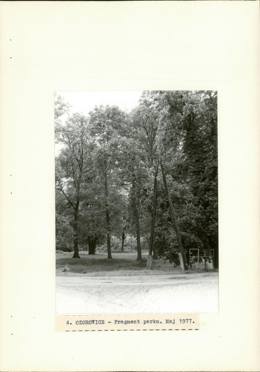 Ewidencja parkowa, skan nr 25