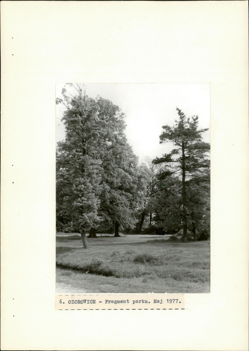 Ewidencja parkowa, skan nr 27