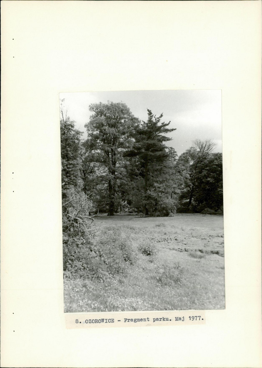 Ewidencja parkowa, skan nr 29