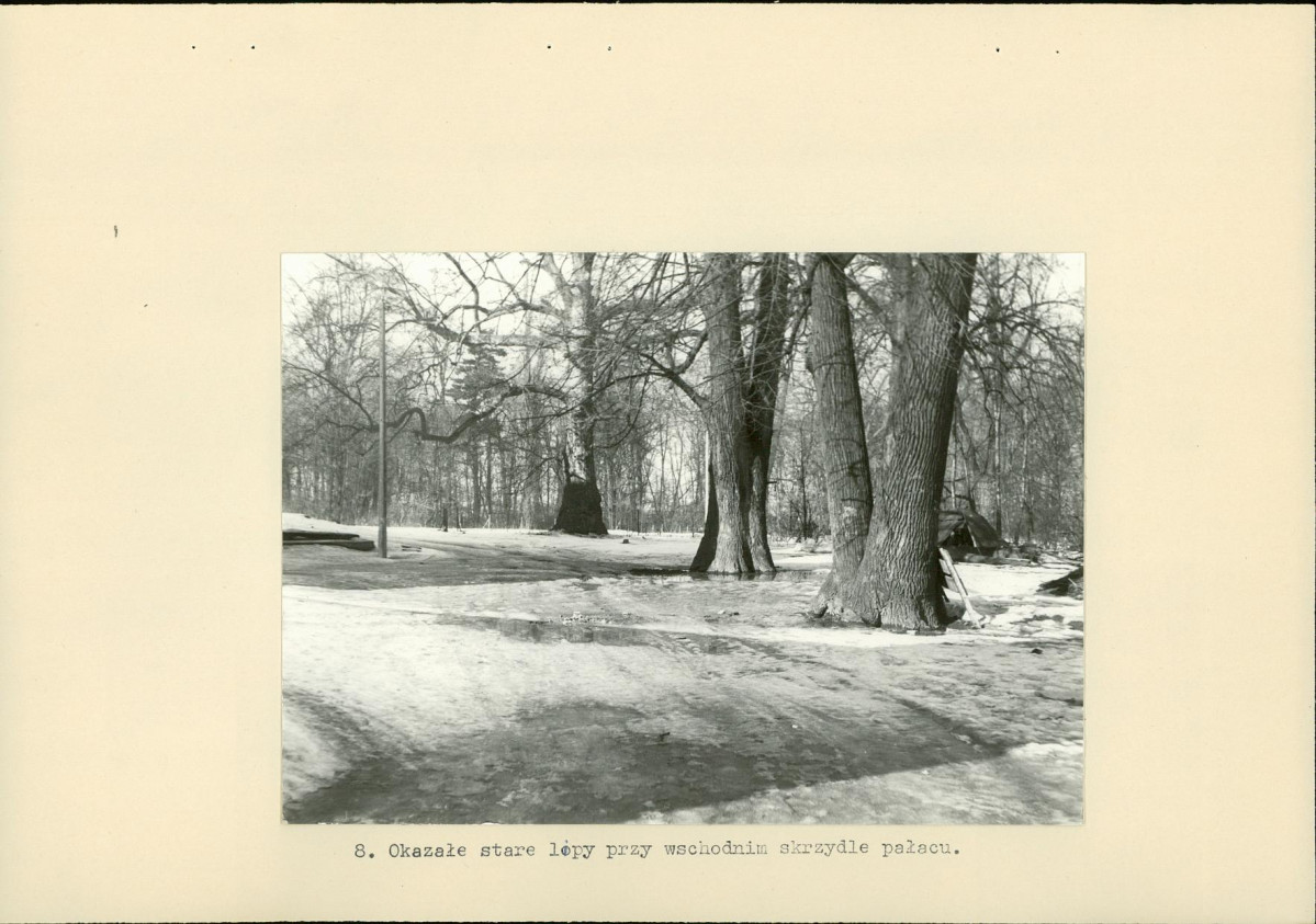 Ewidencja parkowa, skan nr 28