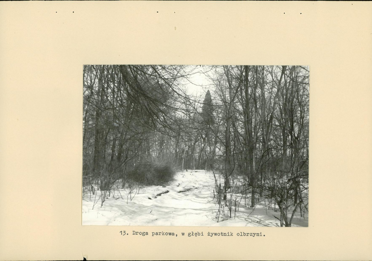 Ewidencja parkowa, skan nr 33