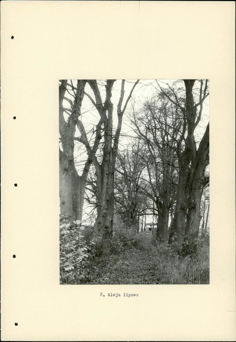 Ewidencja parkowa, skan nr 29
