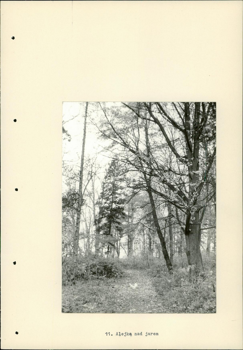 Ewidencja parkowa, skan nr 32