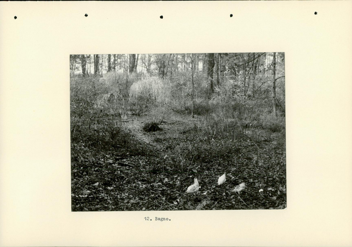 Ewidencja parkowa, skan nr 33