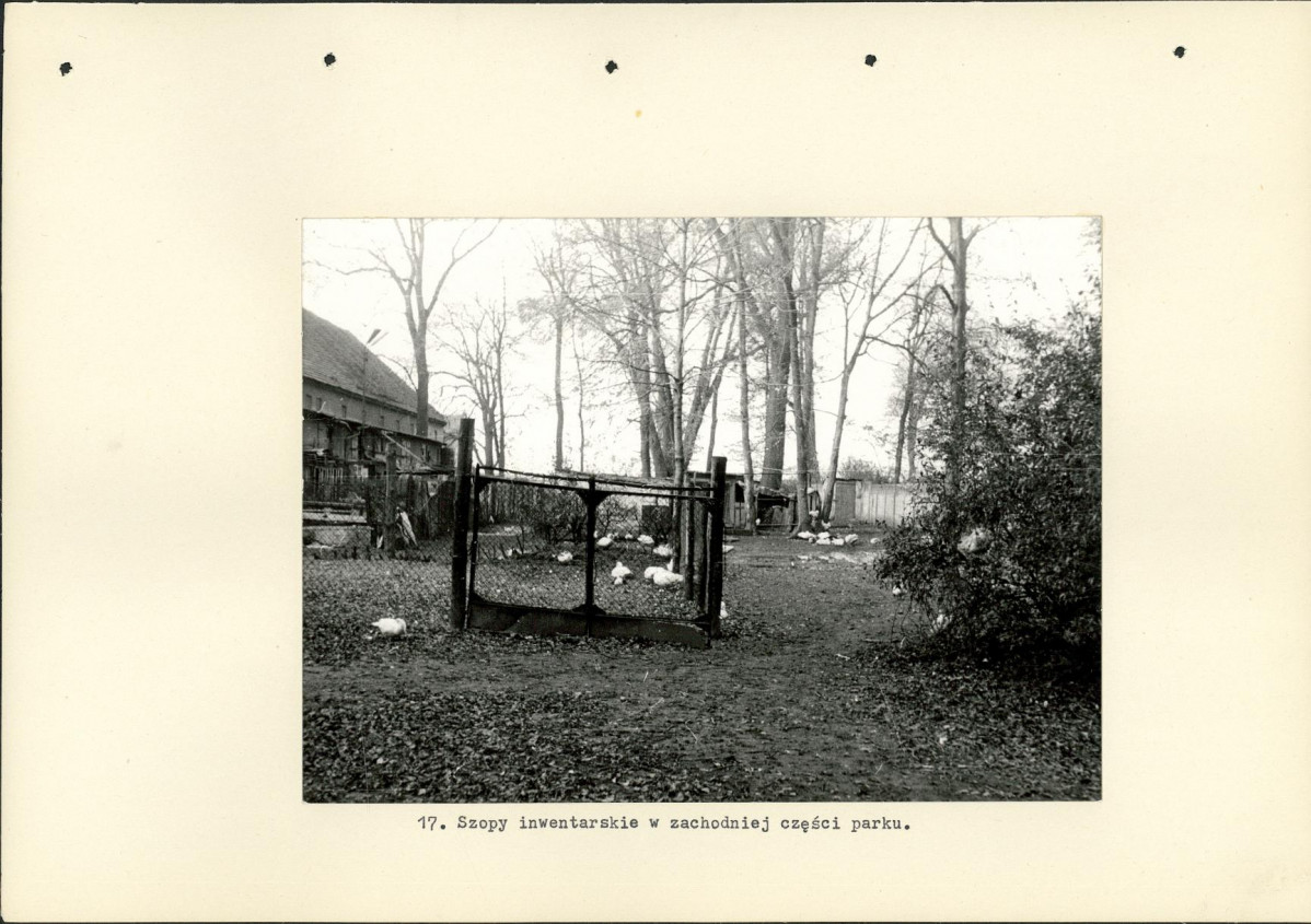 Ewidencja parkowa, skan nr 38