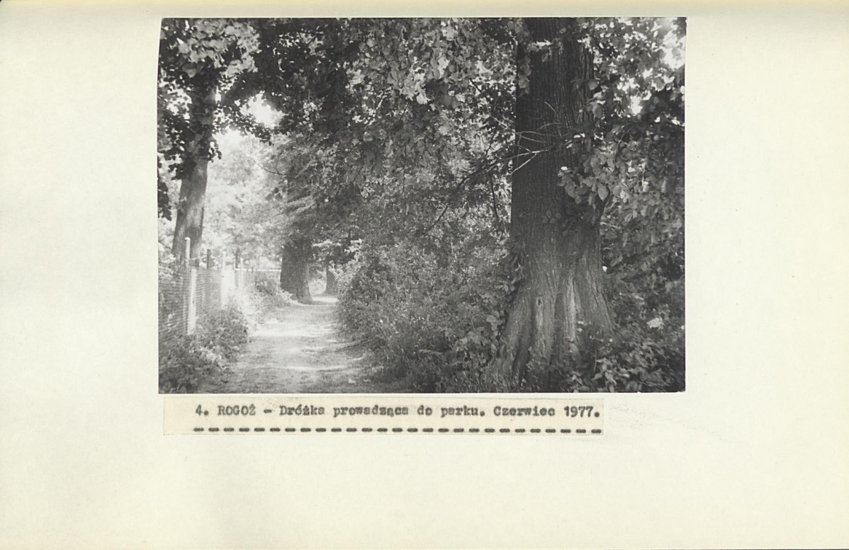 Ewidencja parkowa, skan nr 23