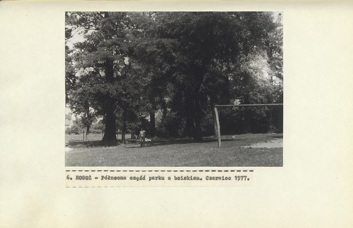 Ewidencja parkowa, skan nr 25