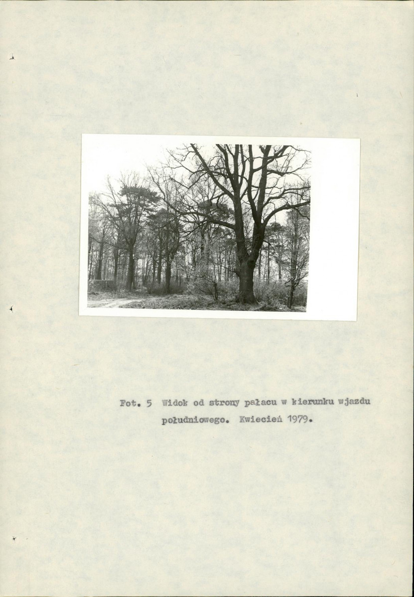 Ewidencja parkowa, skan nr 17