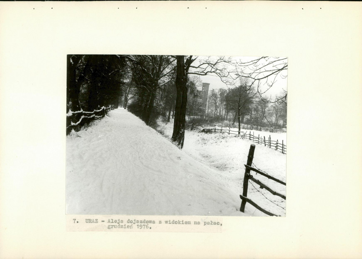Ewidencja parkowa, skan nr 26