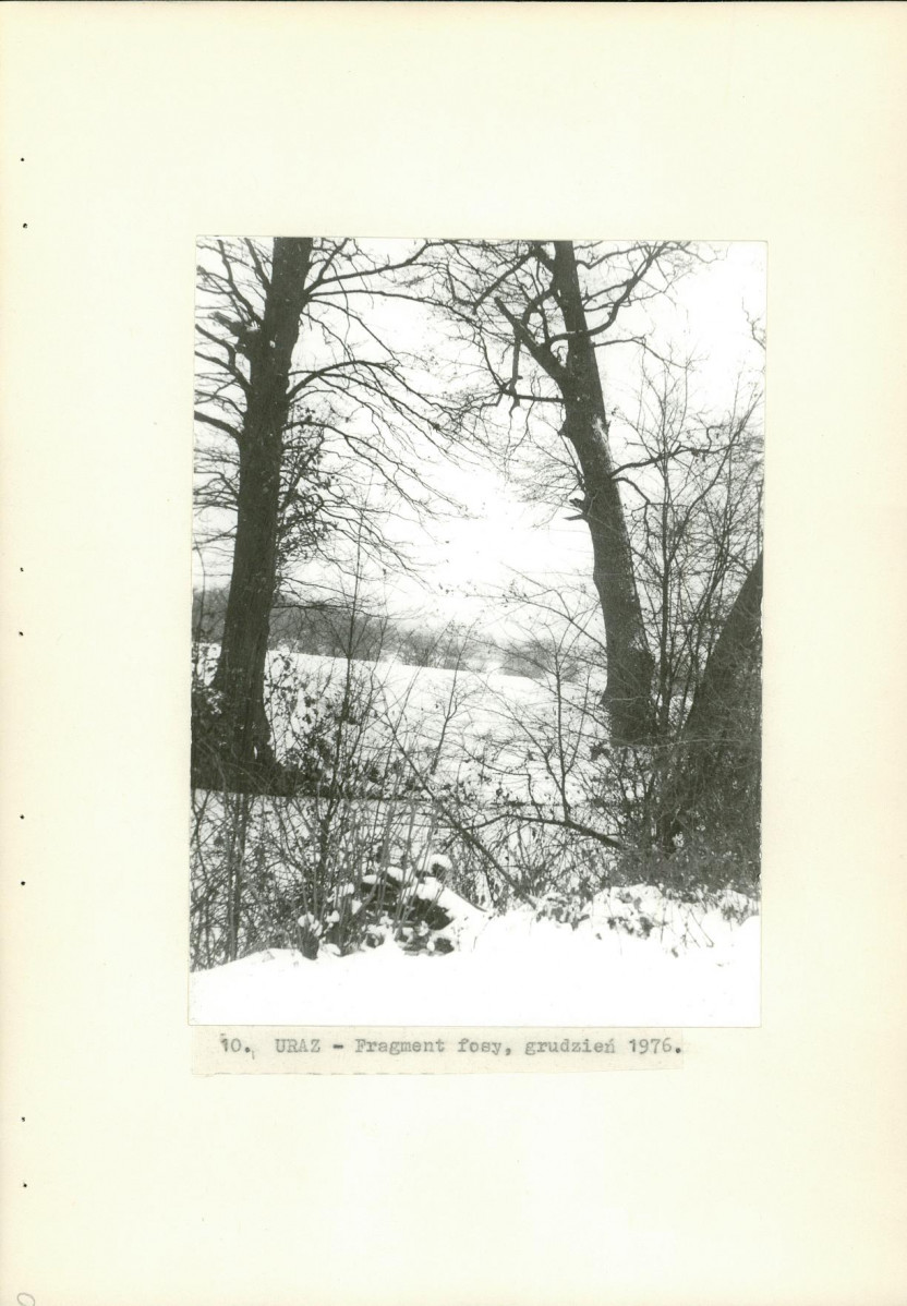 Ewidencja parkowa, skan nr 29