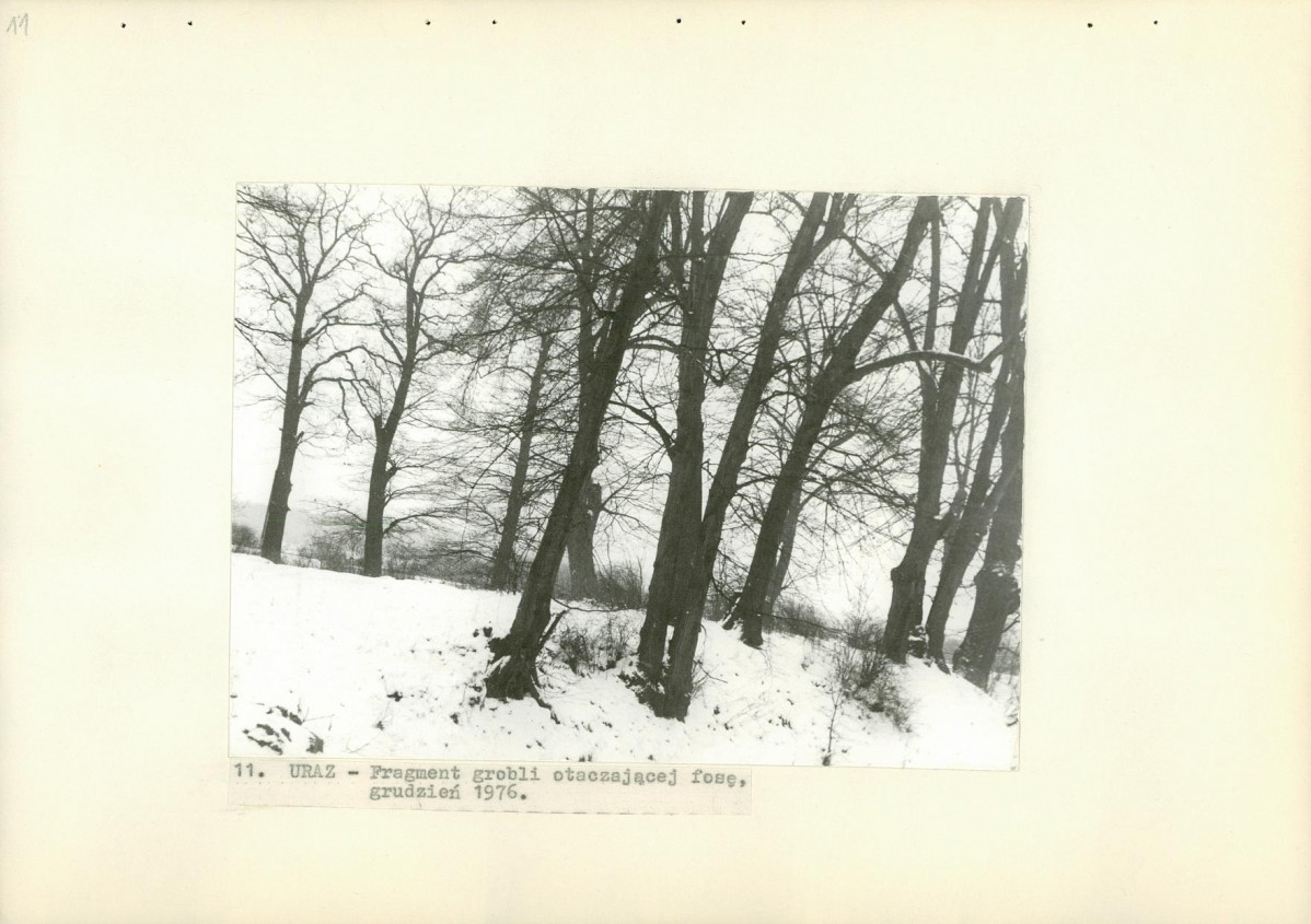 Ewidencja parkowa, skan nr 30
