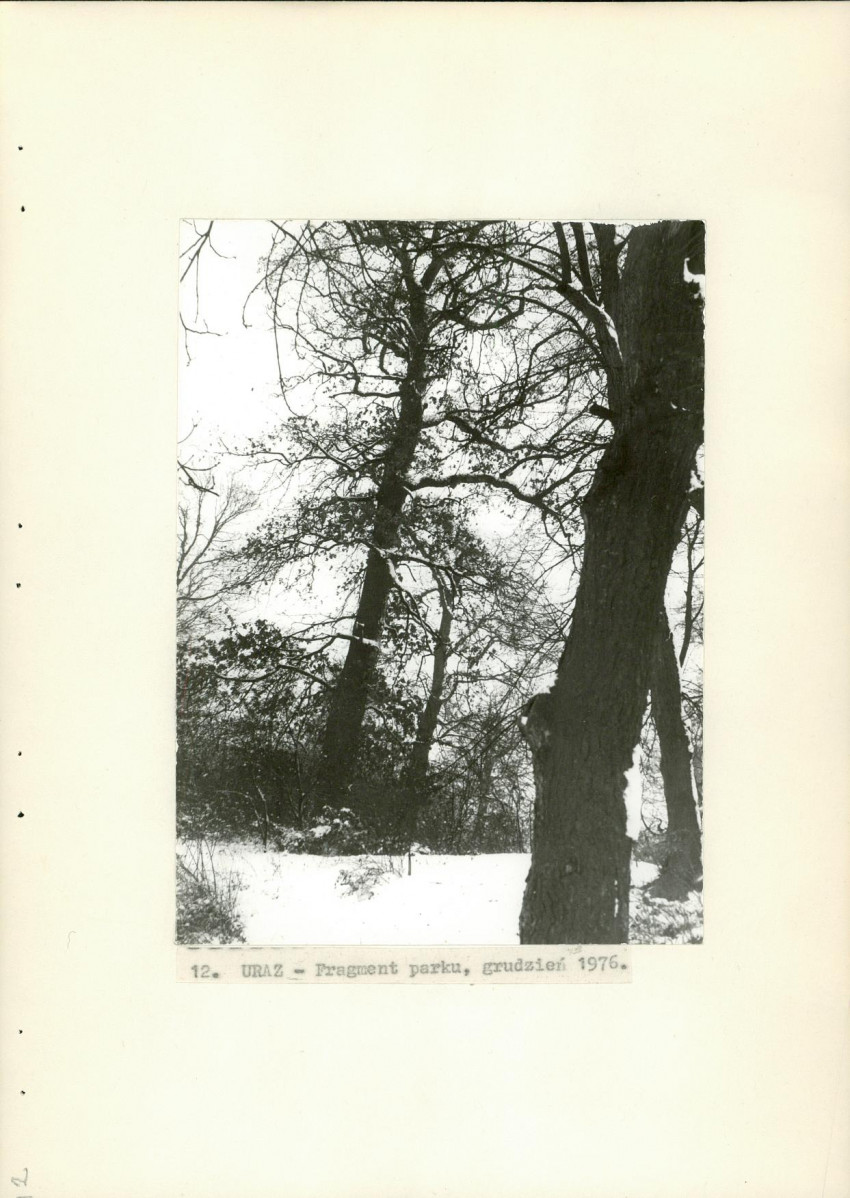 Ewidencja parkowa, skan nr 31