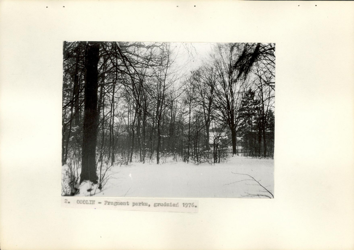 Ewidencja parkowa, skan nr 17