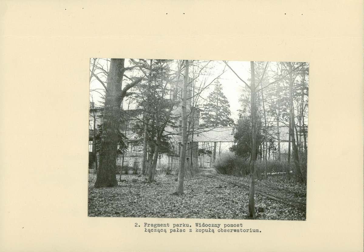 Ewidencja parkowa, skan nr 13