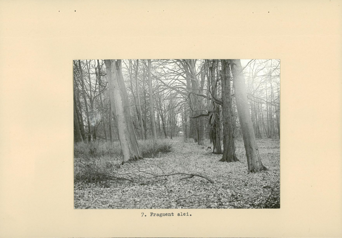 Ewidencja parkowa, skan nr 19